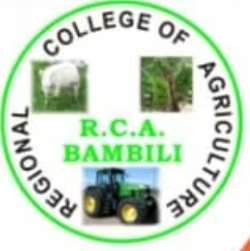 RCA Bambili Logo