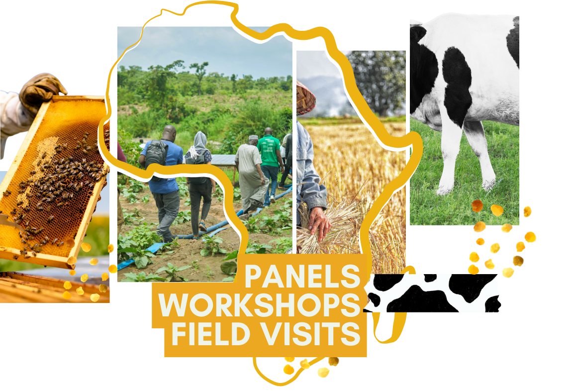 AGSN Conference 2025 Official Programme