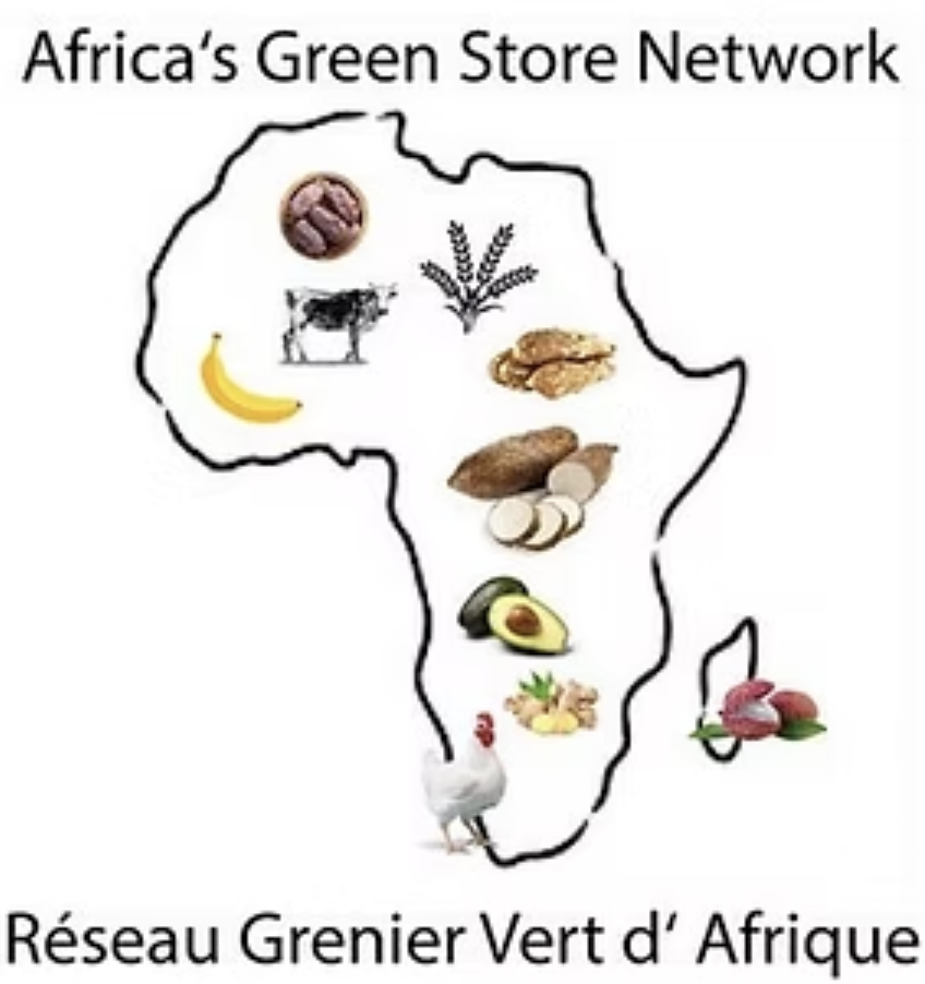 AGSN Official Logo