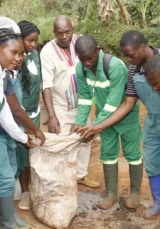 SLE Joint Research Project