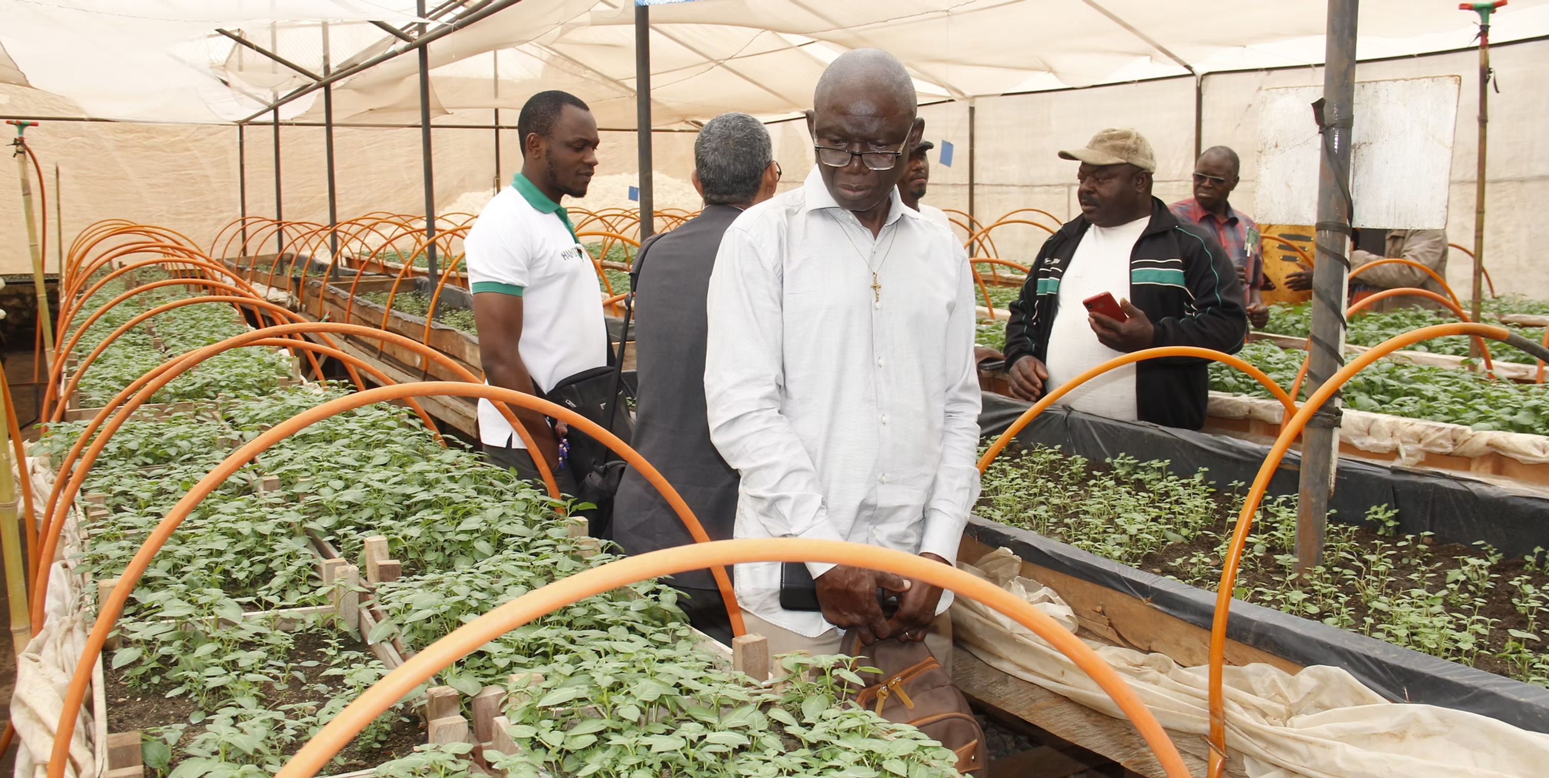 Modern Apiculture Training